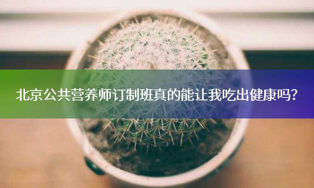 北京公共营养师订制班真的能让我吃出健康吗？