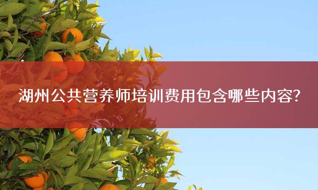 湖州公共营养师培训费用包含哪些内容？