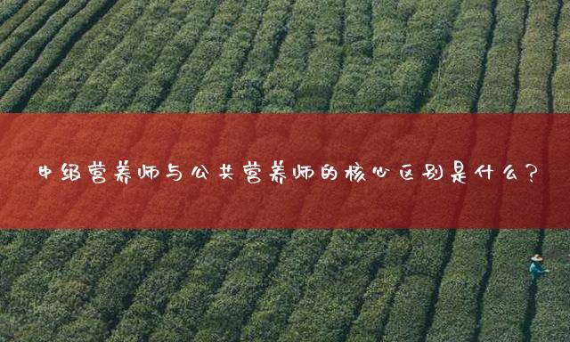 中级营养师与公共营养师的核心区别是什么？