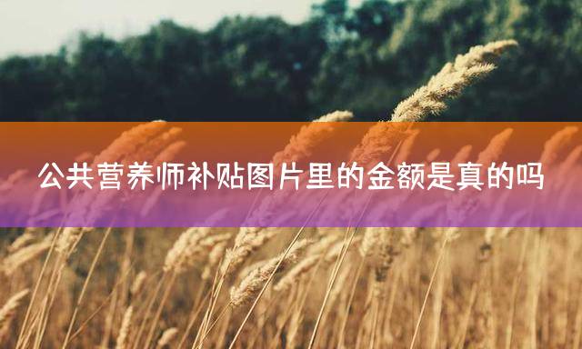 公共营养师补贴图片里的金额是真的吗？