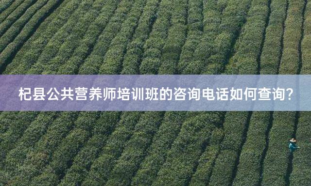 杞县公共营养师培训班的咨询电话如何查询？