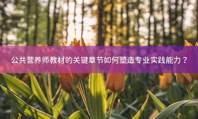 公共营养师教材的关键章节如何塑造专业实践能力？