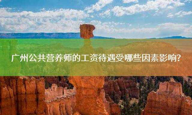 广州公共营养师的工资待遇受哪些因素影响？