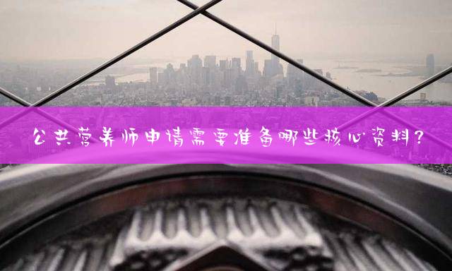 公共营养师申请需要准备哪些核心资料？