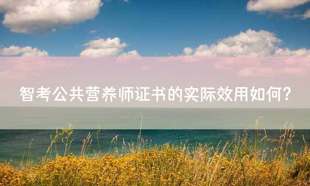智考公共营养师证书的实际效用如何？