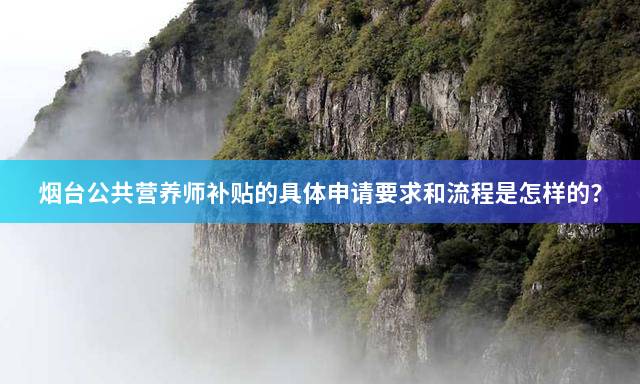 烟台公共营养师补贴的具体申请要求和流程是怎样的？