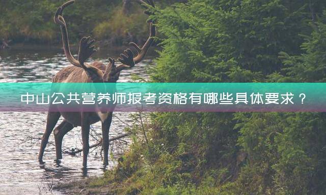 中山公共营养师报考资格有哪些具体要求？