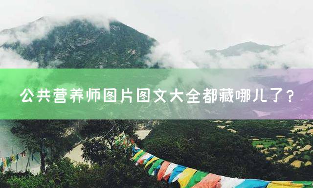 公共营养师图片图文大全都藏哪儿了？