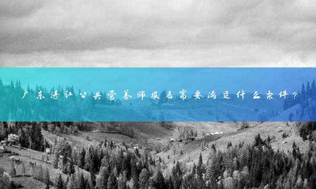 广东湛江公共营养师报名需要满足什么条件？