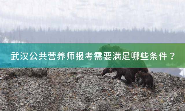 武汉公共营养师报考需要满足哪些条件？