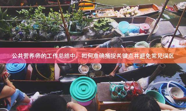 公共营养师的工作总结中，如何准确捕捉关键点并避免常见误区？