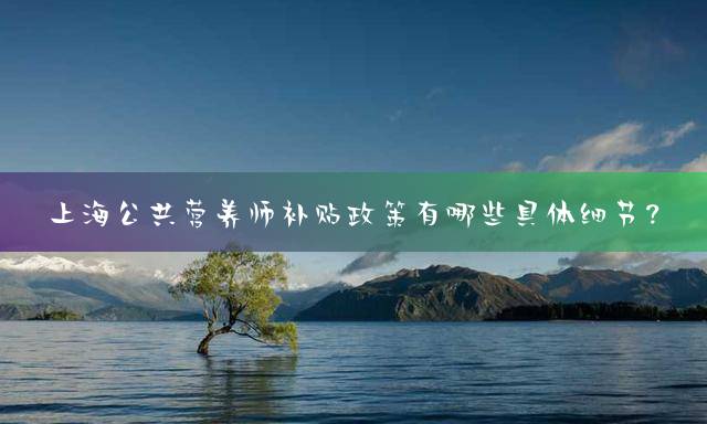 上海公共营养师补贴政策有哪些具体细节？