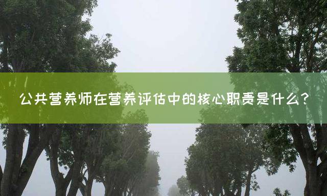 公共营养师在营养评估中的核心职责是什么？