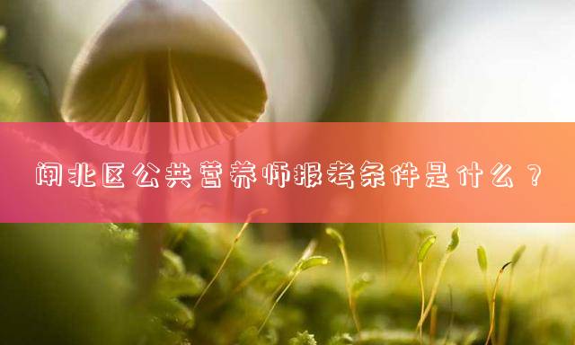 闸北区公共营养师报考条件是什么？