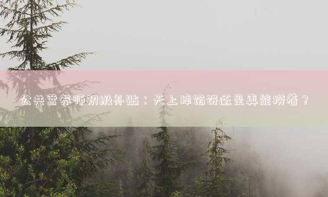 公共营养师初级补贴：天上掉馅饼还是真能捞着？