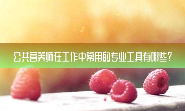 公共营养师在工作中常用的专业工具有哪些？