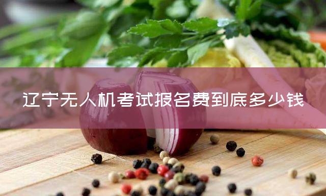 辽宁无人机考试报名费到底多少钱