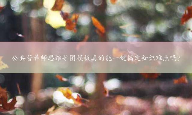 公共营养师思维导图模板真的能一键搞定知识难点吗？