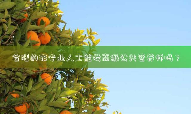 合肥的非专业人士能考高级公共营养师吗？