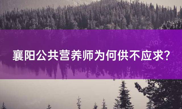 襄阳公共营养师为何供不应求？