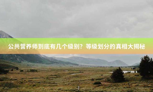 公共营养师到底有几个级别？等级划分的真相大揭秘