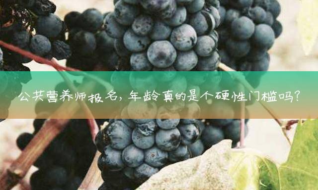 公共营养师报名，年龄真的是个硬性门槛吗？