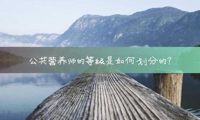 公共营养师的等级是如何划分的？