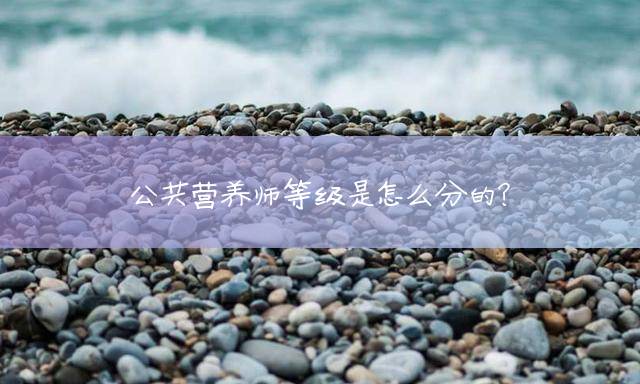 公共营养师等级是怎么分的？