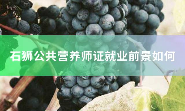 石狮公共营养师证就业前景如何