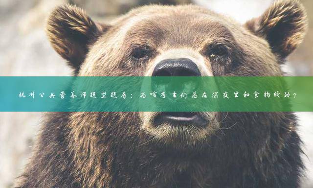 杭州公共营养师题型题库：为啥考生们总在深夜里和食物较劲？