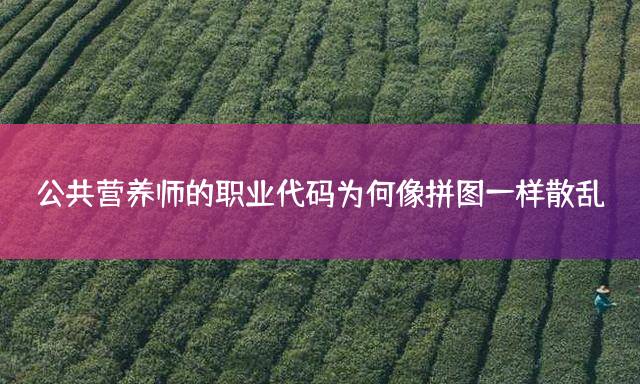 公共营养师的职业代码为何像拼图一样散乱？
