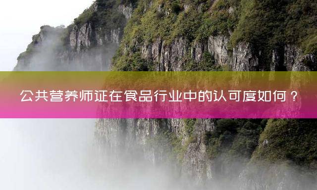 公共营养师证在食品行业中的认可度如何？
