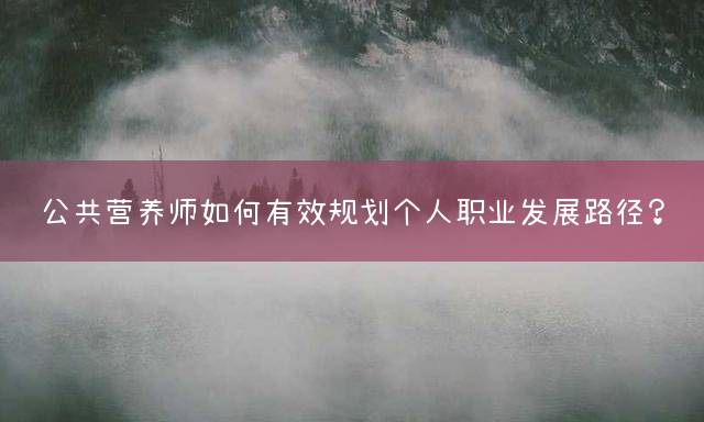 公共营养师如何有效规划个人职业发展路径？