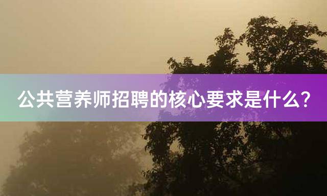 公共营养师招聘的核心要求是什么？