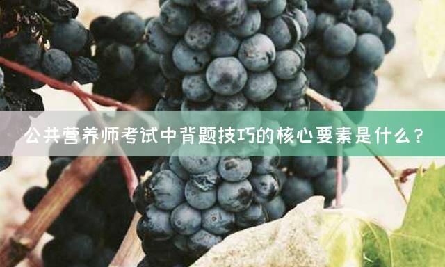 公共营养师考试中背题技巧的核心要素是什么？