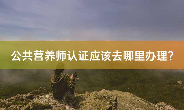 公共营养师认证应该去哪里办理？