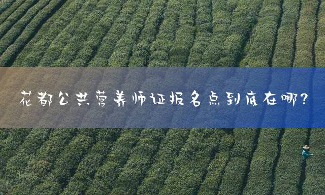 花都公共营养师证报名点到底在哪？