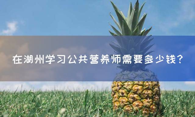 在湖州学习公共营养师需要多少钱？