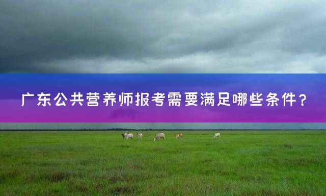广东公共营养师报考需要满足哪些条件？