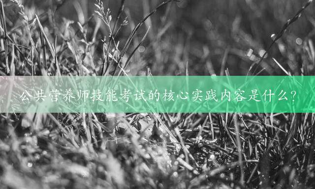 公共营养师技能考试的核心实践内容是什么？