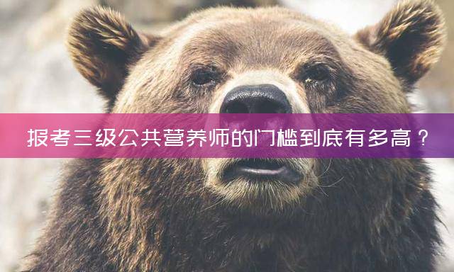 报考三级公共营养师的门槛到底有多高？