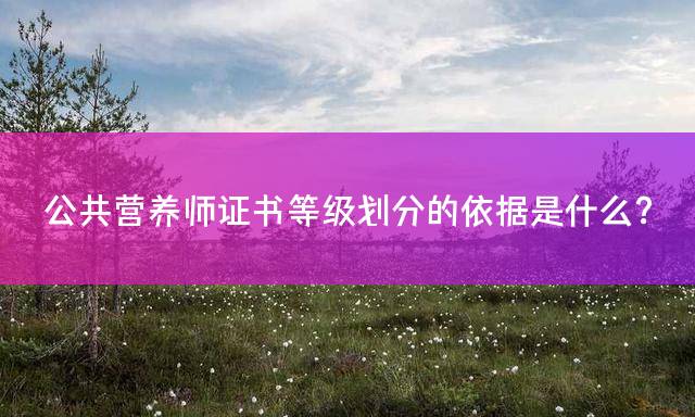 公共营养师证书等级划分的依据是什么？