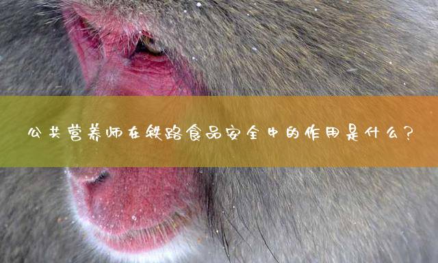 公共营养师在铁路食品安全中的作用是什么？