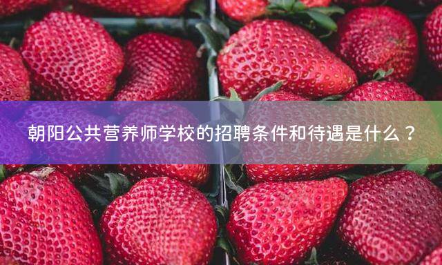 朝阳公共营养师学校的招聘条件和待遇是什么？