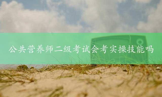 公共营养师二级考试会考实操技能吗