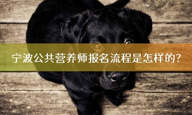 宁波公共营养师报名流程是怎样的？