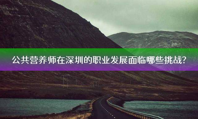 公共营养师在深圳的职业发展面临哪些挑战？