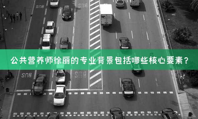 公共营养师徐丽的专业背景包括哪些核心要素？