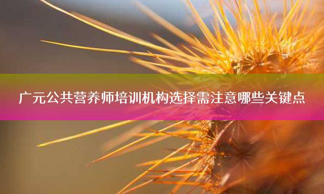广元公共营养师培训机构选择需注意哪些关键点