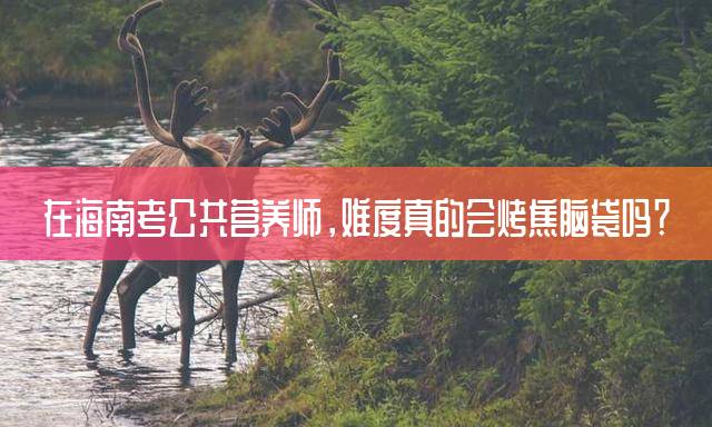 在海南考公共营养师，难度真的会烤焦脑袋吗？